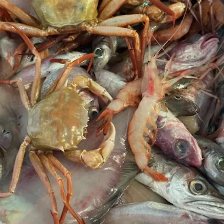 Ristorante Milton 2*