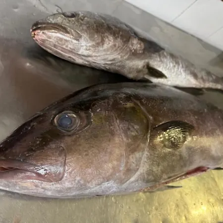 Ristorante Milton فندق